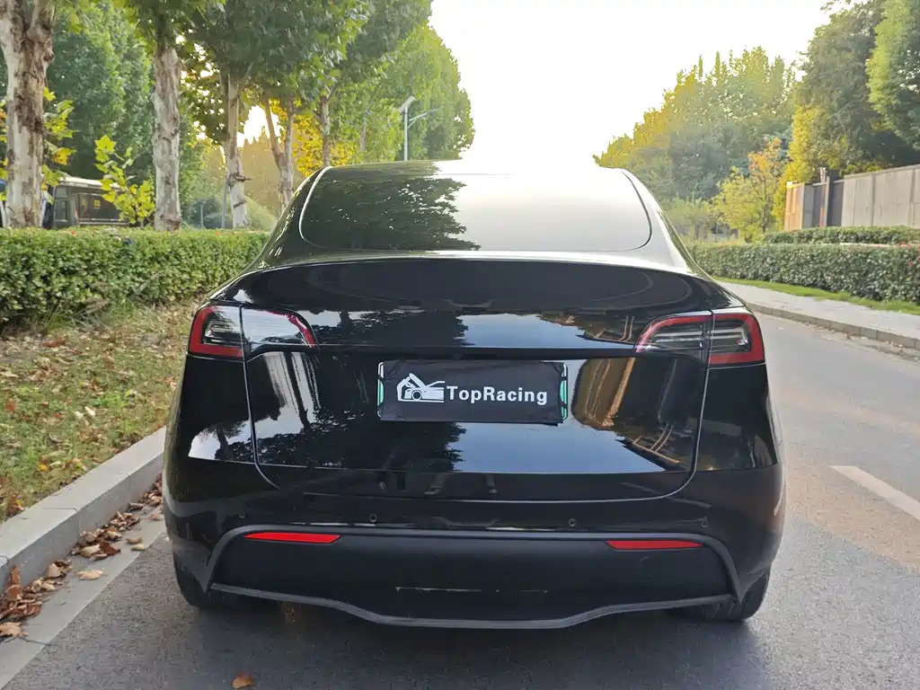 Tesla Model Y — миниатюра 8