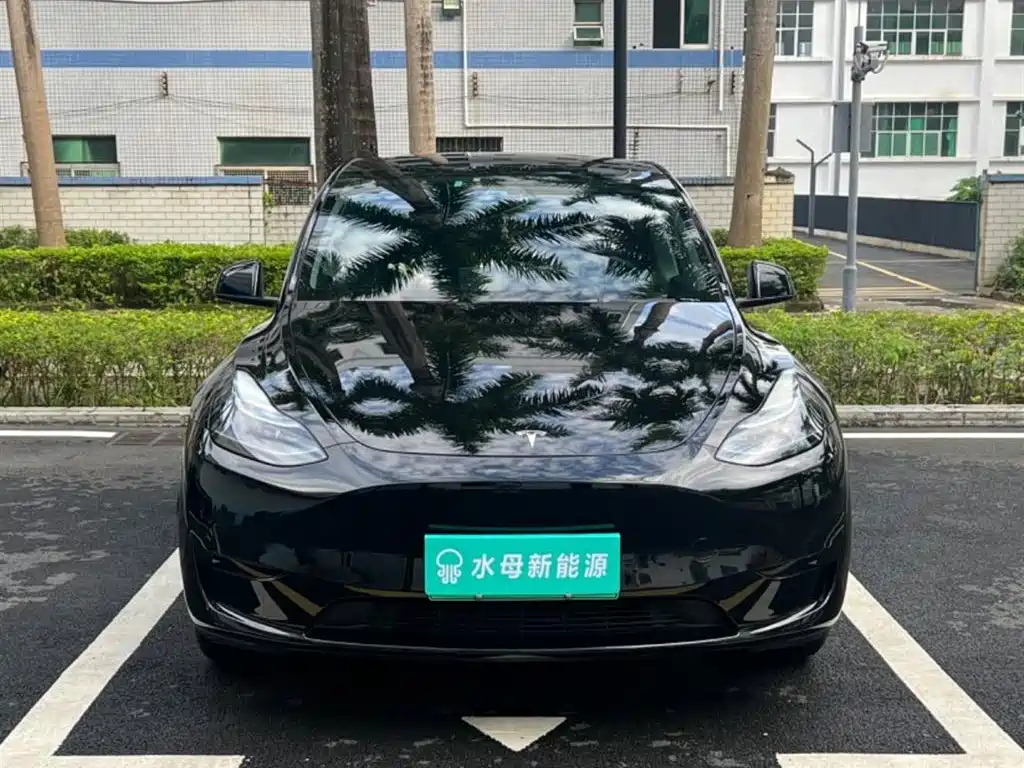 Tesla Model Y — миниатюра 2