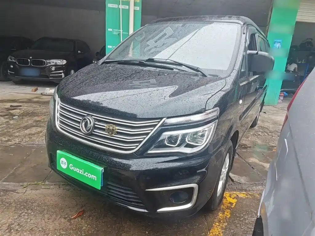 Fengxing Lingzhi 2020