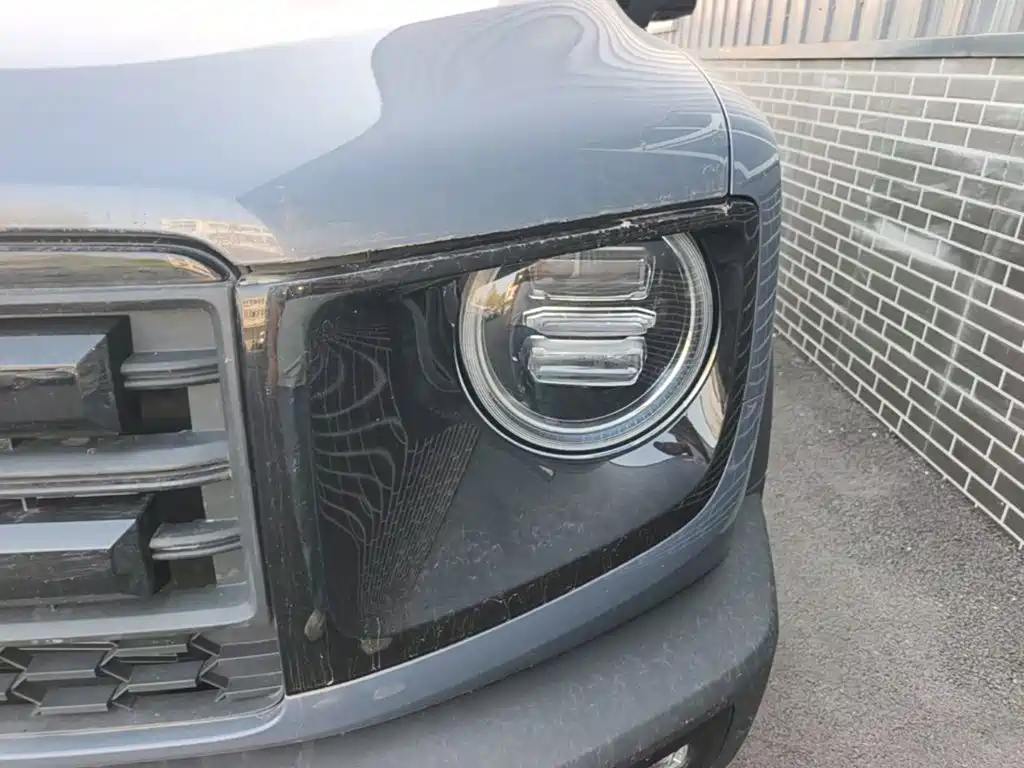Haval Big Dog — миниатюра 24