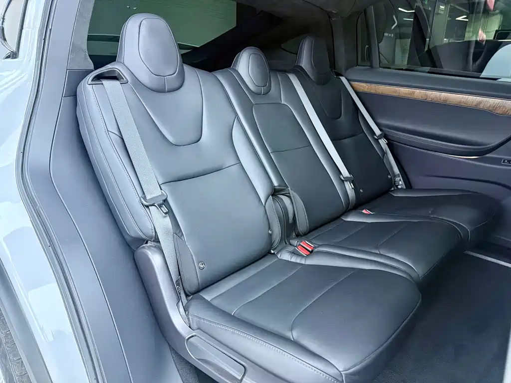 Tesla Model X — миниатюра 10