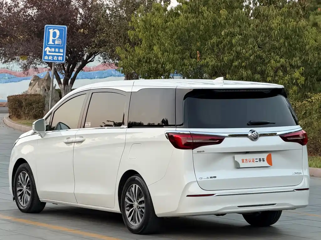 Buick GL8 — миниатюра 7