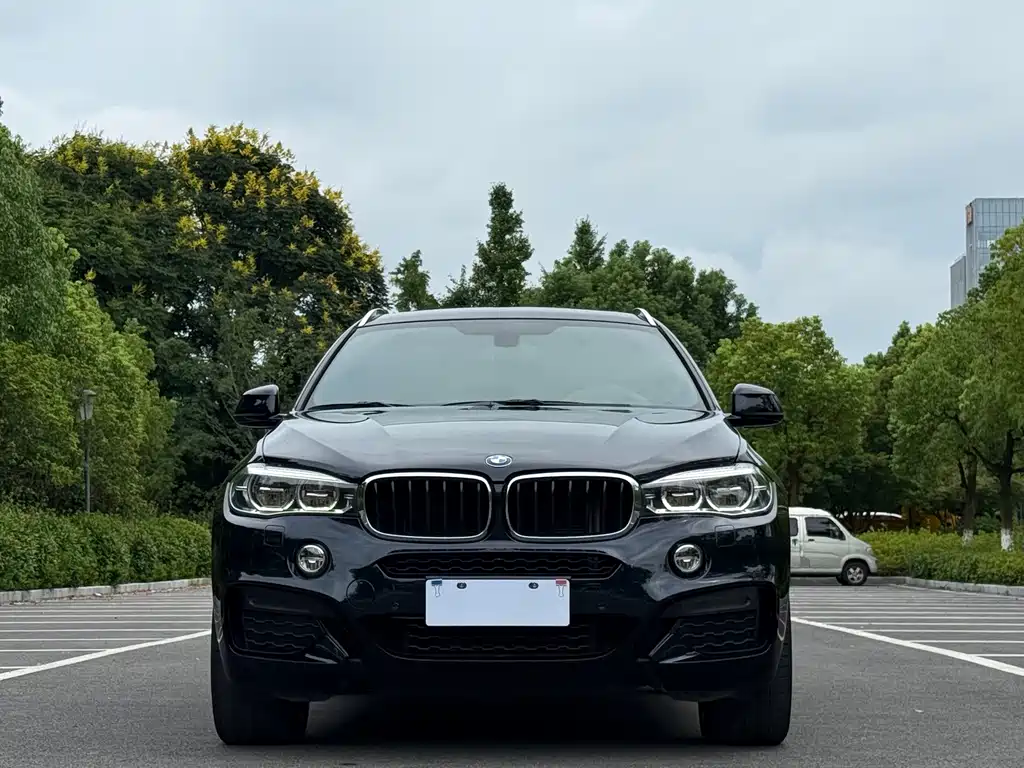 BMW X6 — миниатюра 2