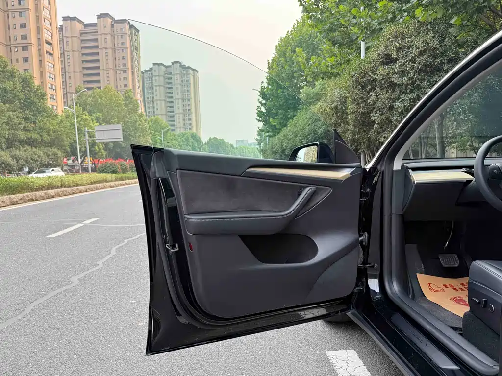 Tesla Model Y — миниатюра 6