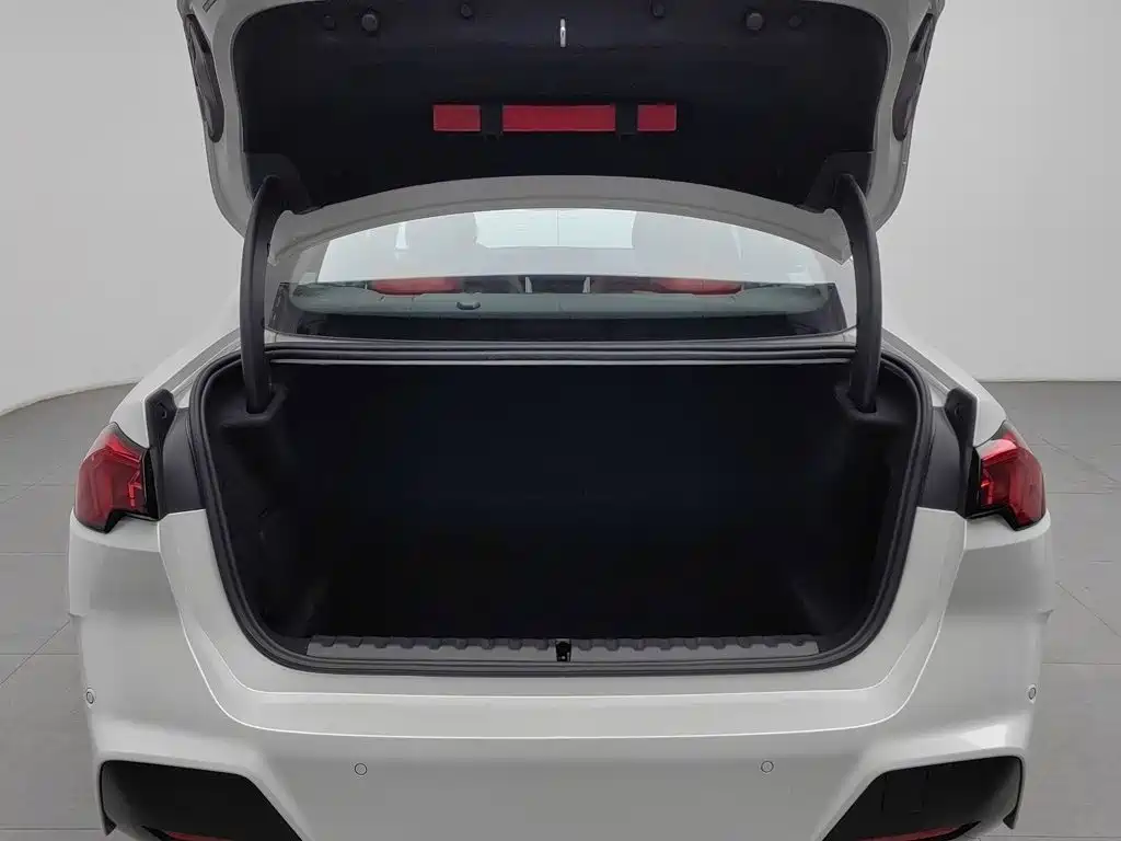 BMW 2 Series — миниатюра 16