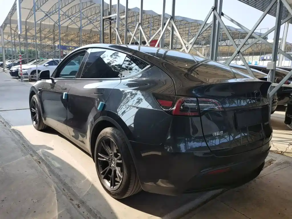 Tesla Model Y — миниатюра 5