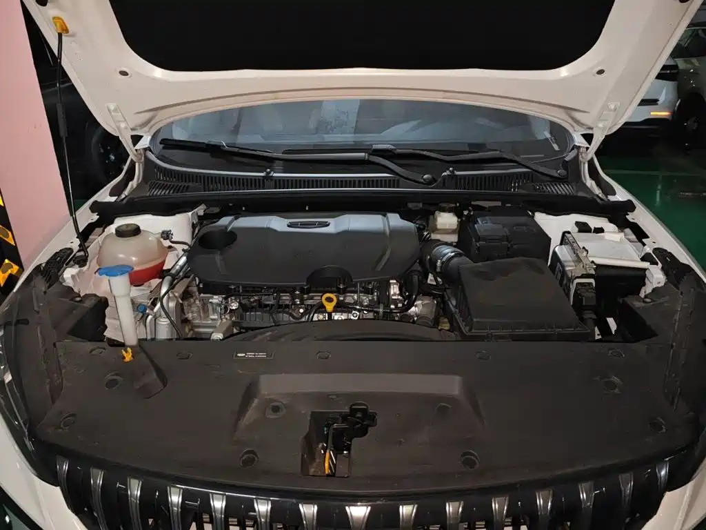 Geely Binrui — миниатюра 11