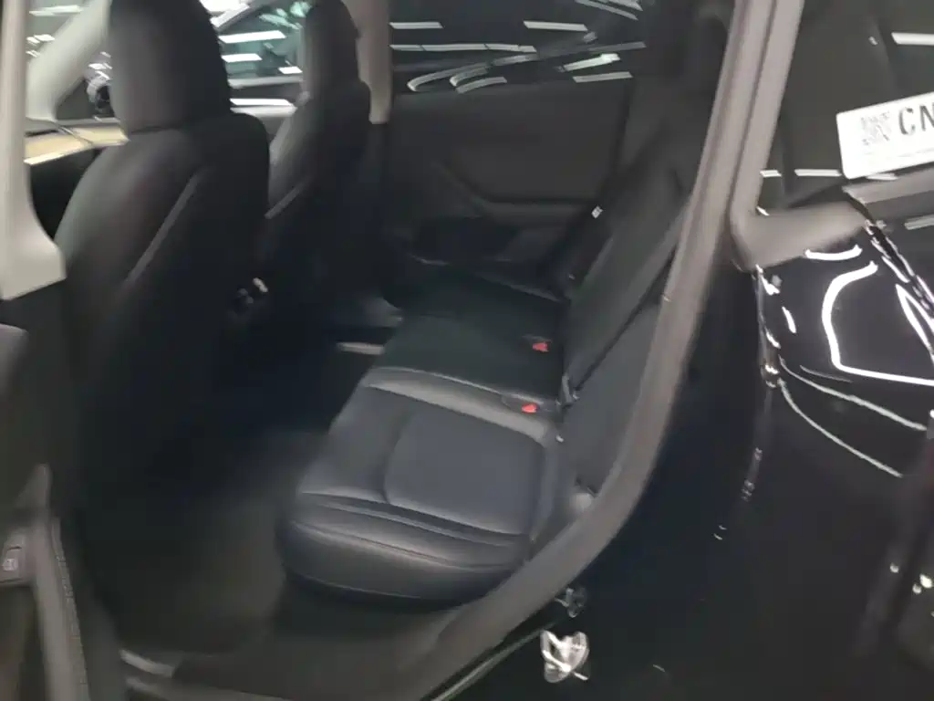 Tesla Model Y — миниатюра 17