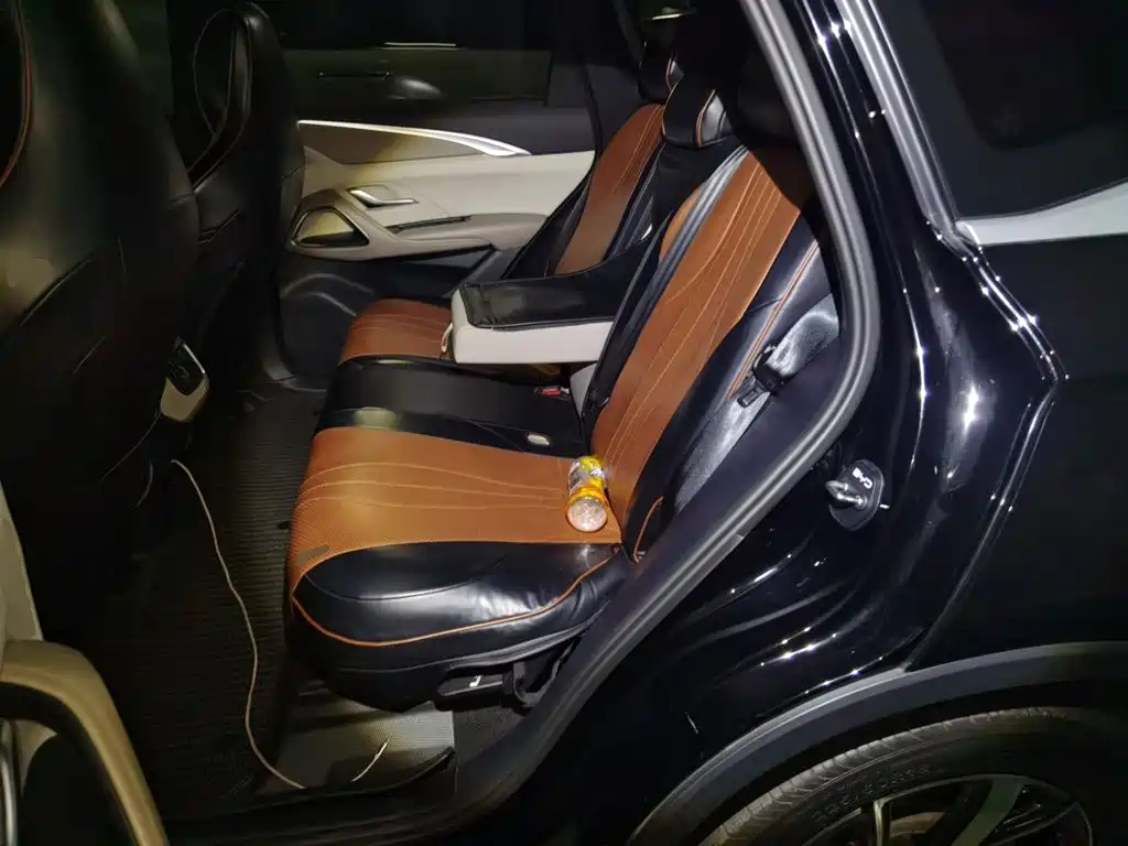 BYD Pro New Energy — миниатюра 18