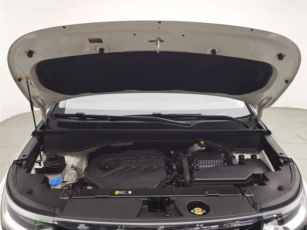 Hyundai Custo 2021 380TGDi Luxury LUX Premium