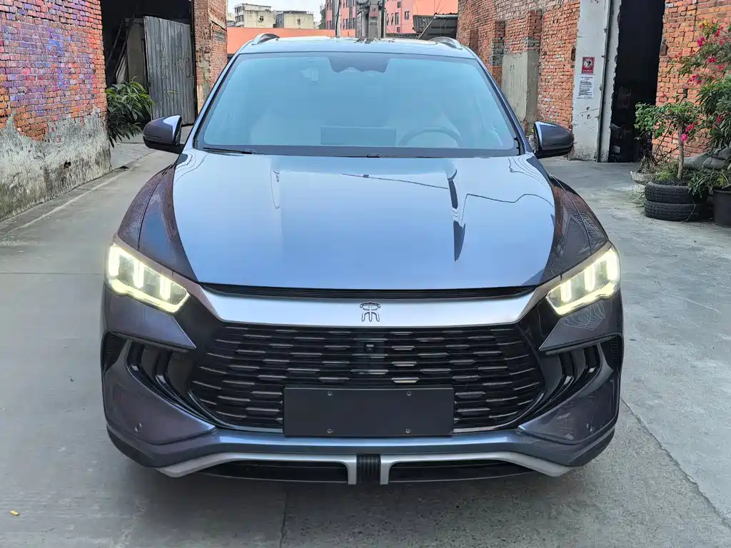 BYD Pro New Energy — миниатюра 2