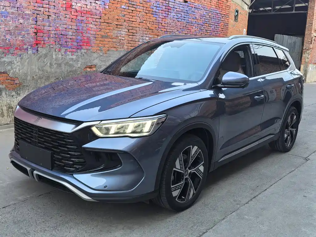 BYD Pro New Energy