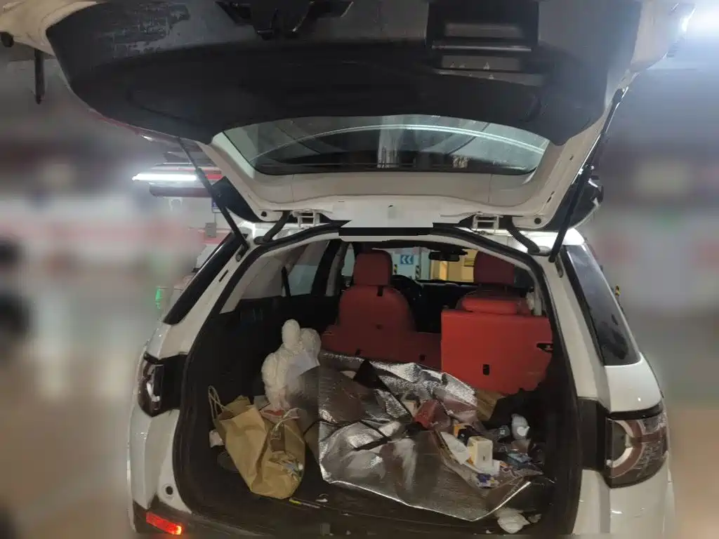 Land Rover Discovery Sport — миниатюра 15
