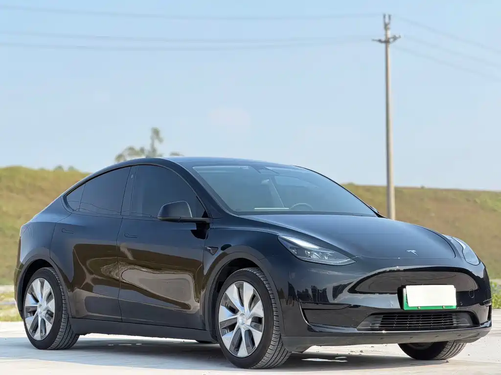 Tesla Model Y — миниатюра 3