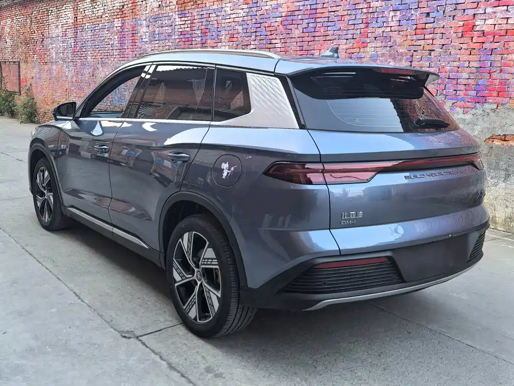 BYD Pro New Energy — миниатюра 5