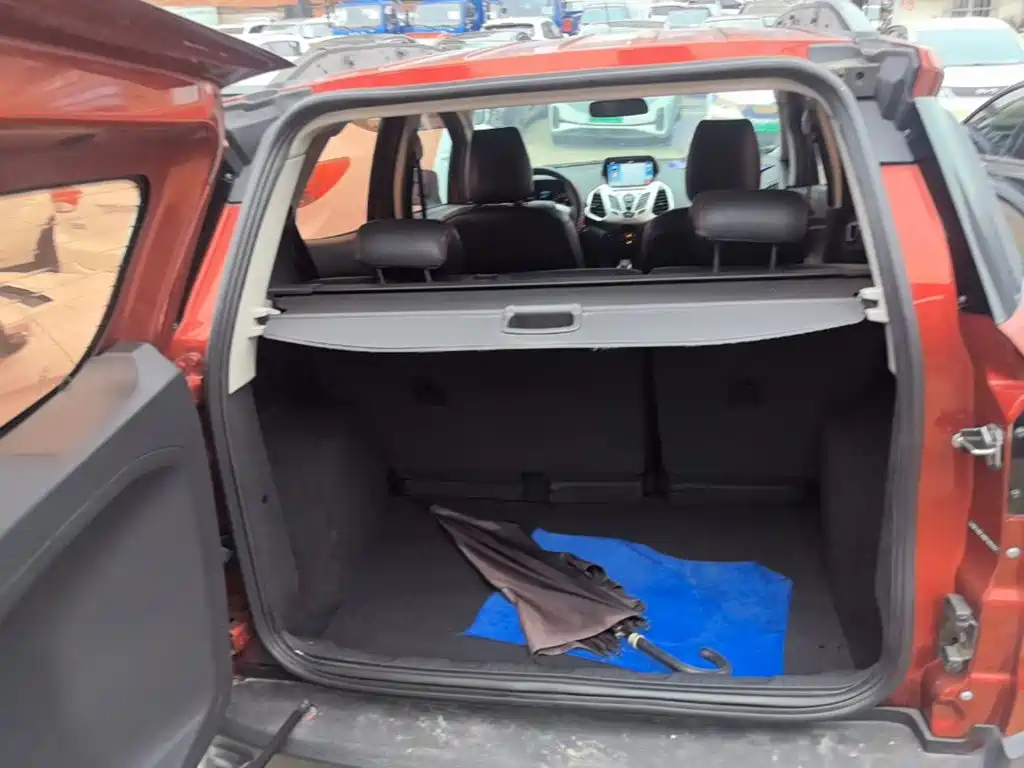 Ford Ecosport — миниатюра 19