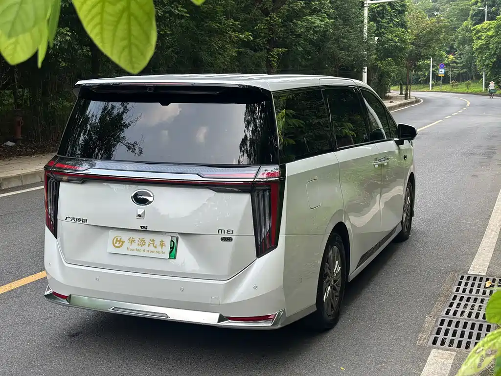 GAC Motor Trumpchi Xiangwang M8 — миниатюра 4