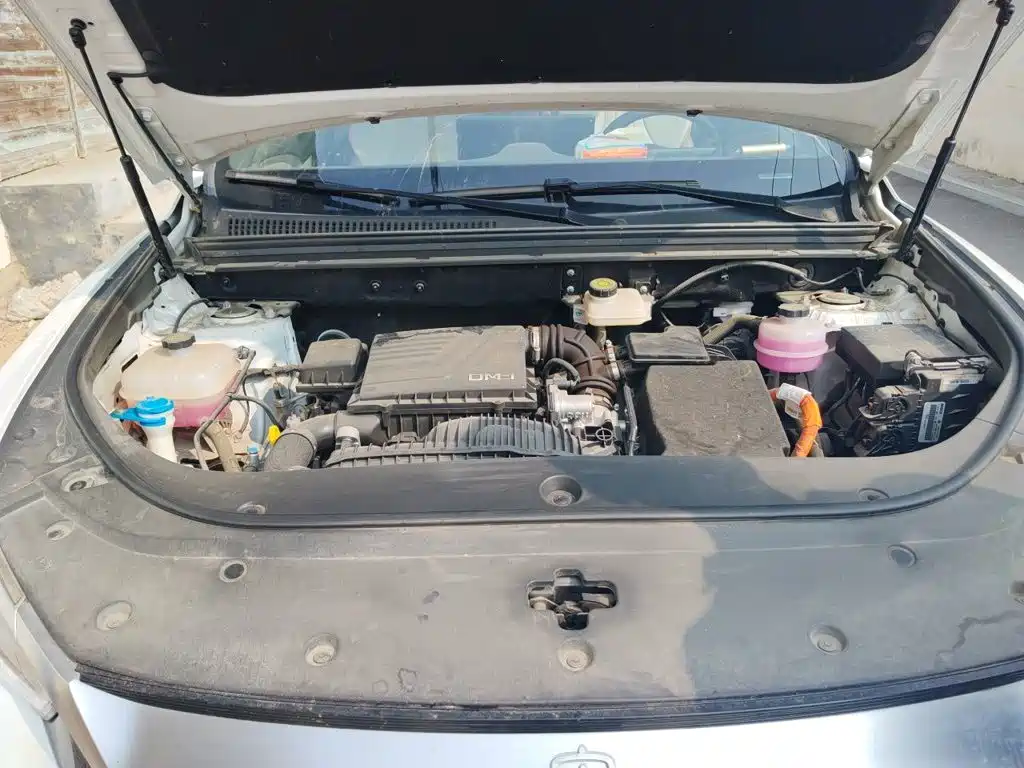 BYD Pro New Energy — миниатюра 21