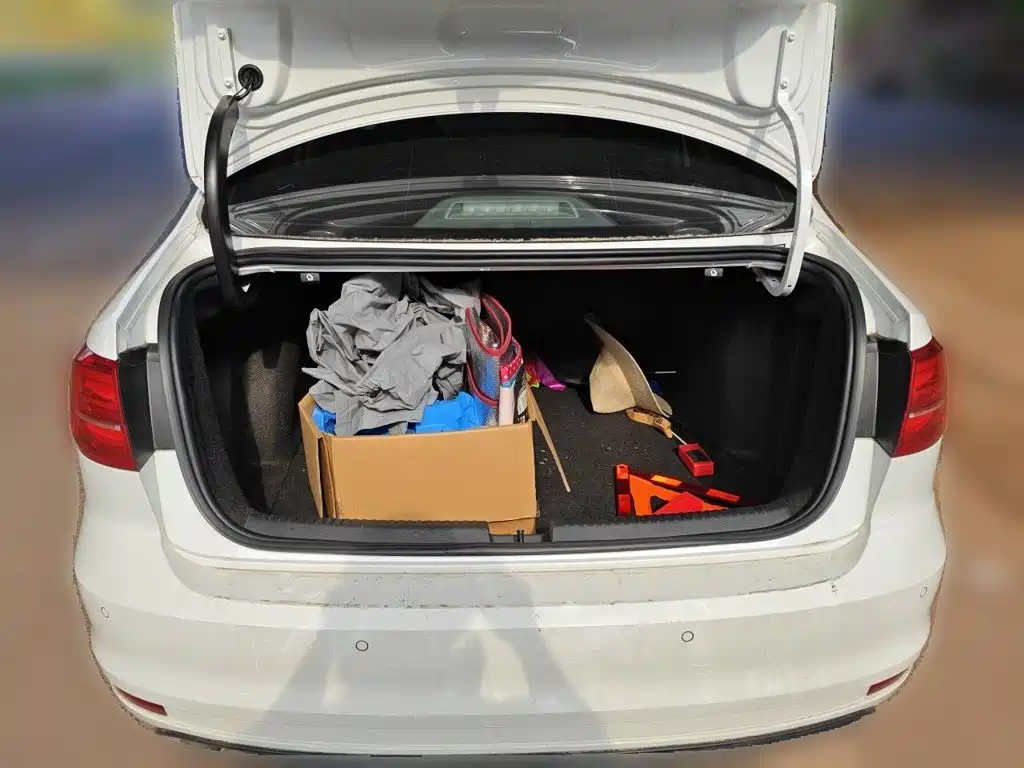 Volkswagen Sagitar — миниатюра 15