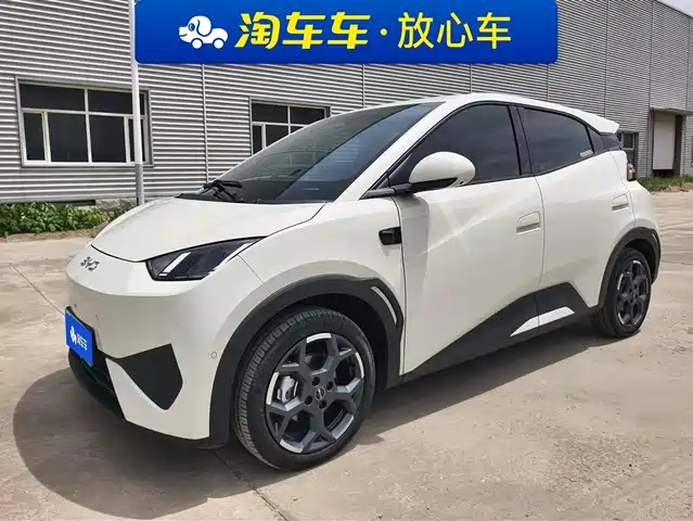 2025 BYD Seagull