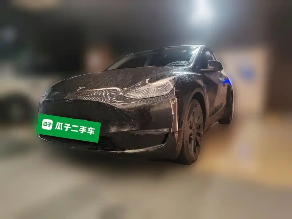 Tesla Model Y — миниатюра 2