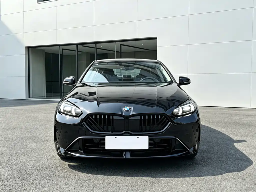 BMW 2 Series — миниатюра 2