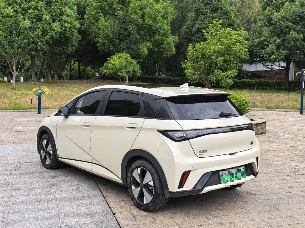 BYD Dolphin 2024 420km Fashion