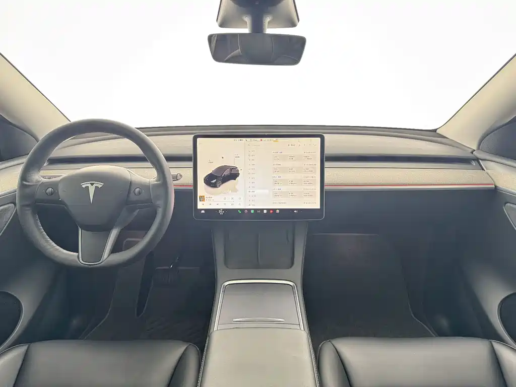 Tesla Model Y — миниатюра 5