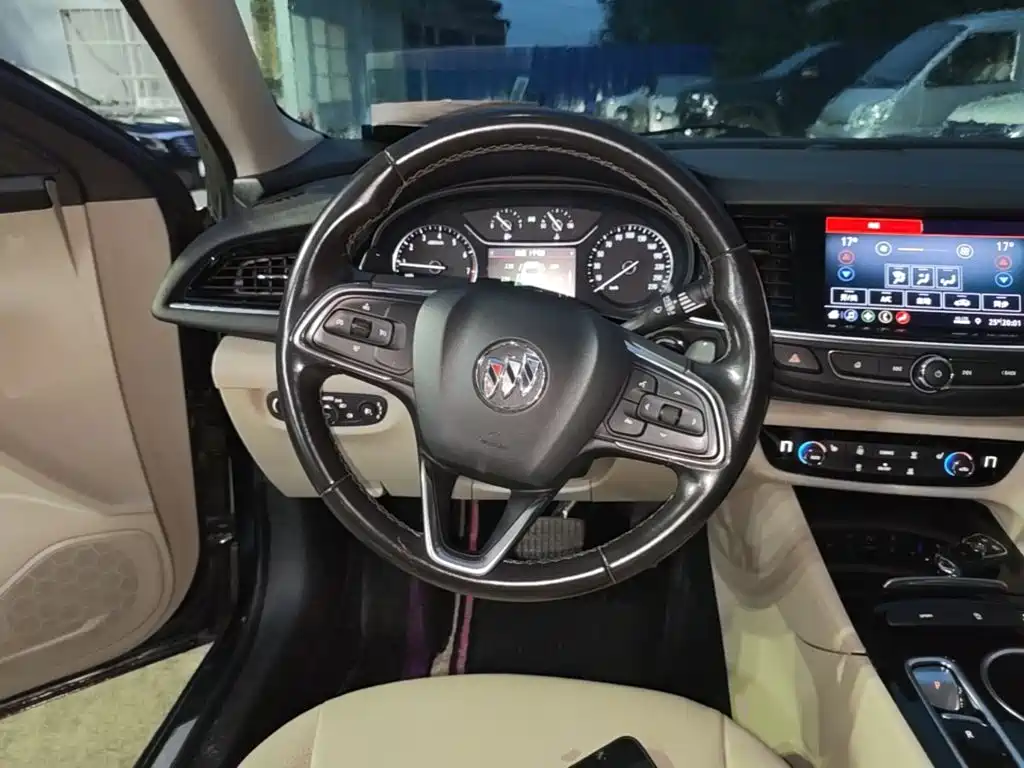 Buick Regal — миниатюра 11
