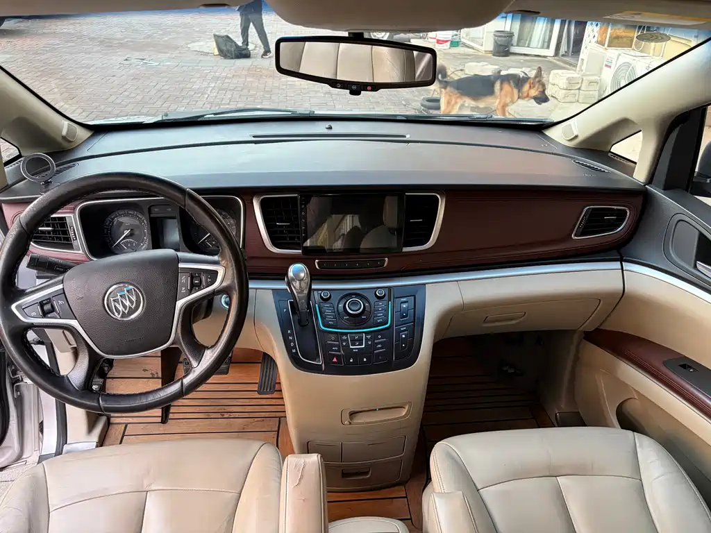 Buick GL8 — миниатюра 15