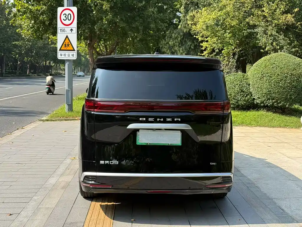 Denza Denza D9 — миниатюра 8