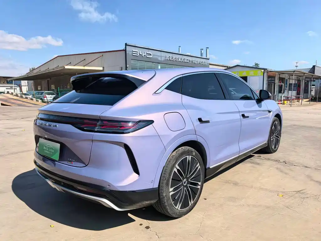 Denza Denza N7 — миниатюра 9