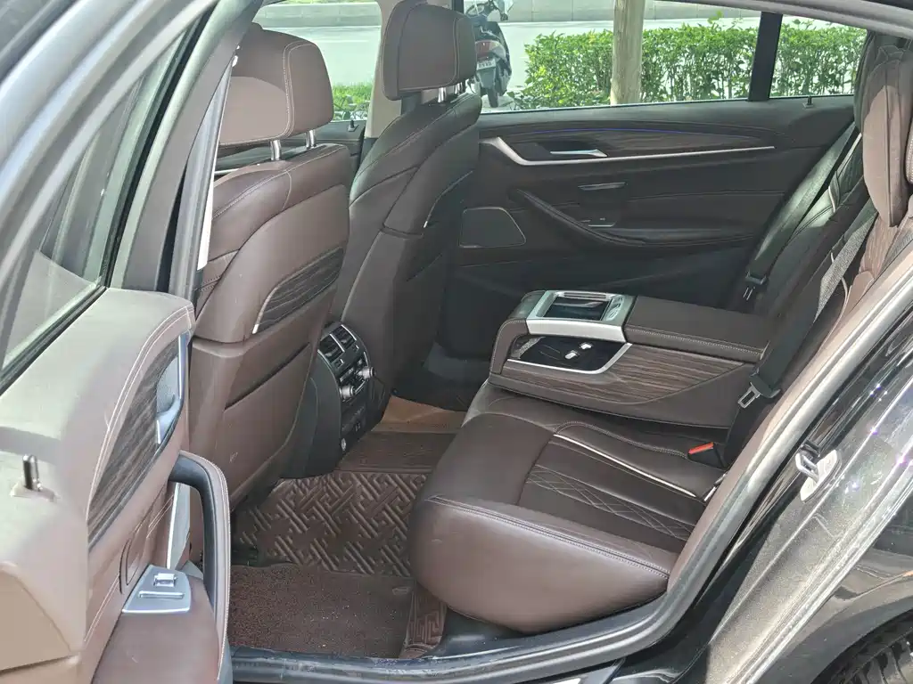 BMW 5 Series 5 2020 530Li Premium Luxury