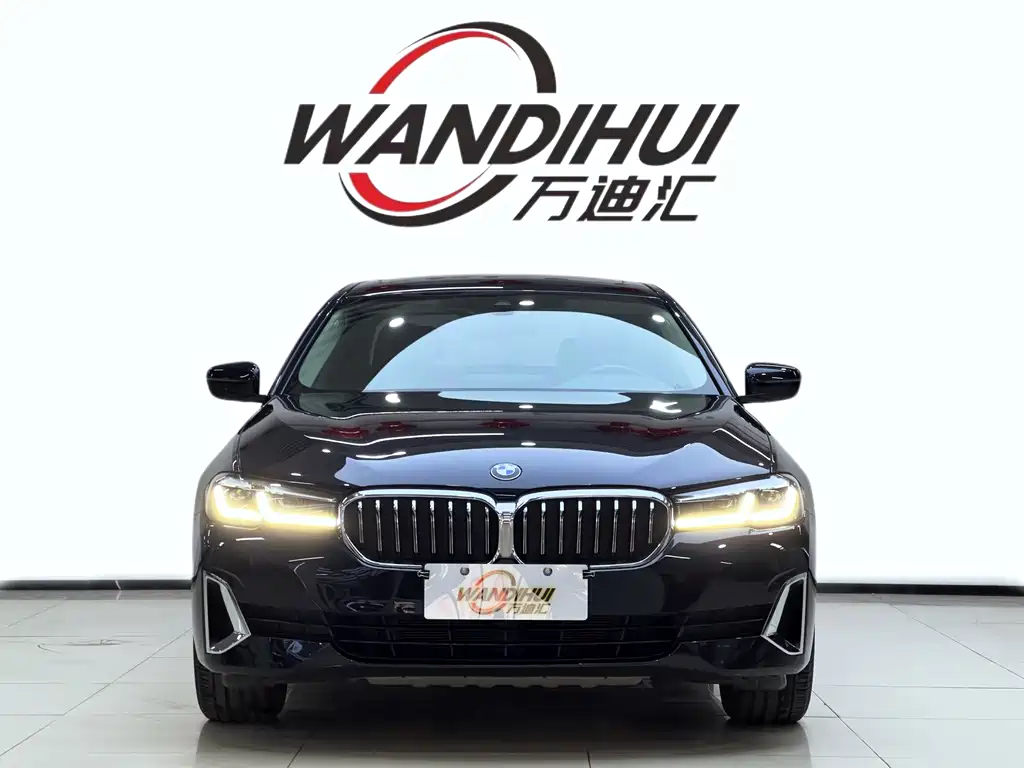 BMW 5 Series 5 2021 530Li Lead Luxury