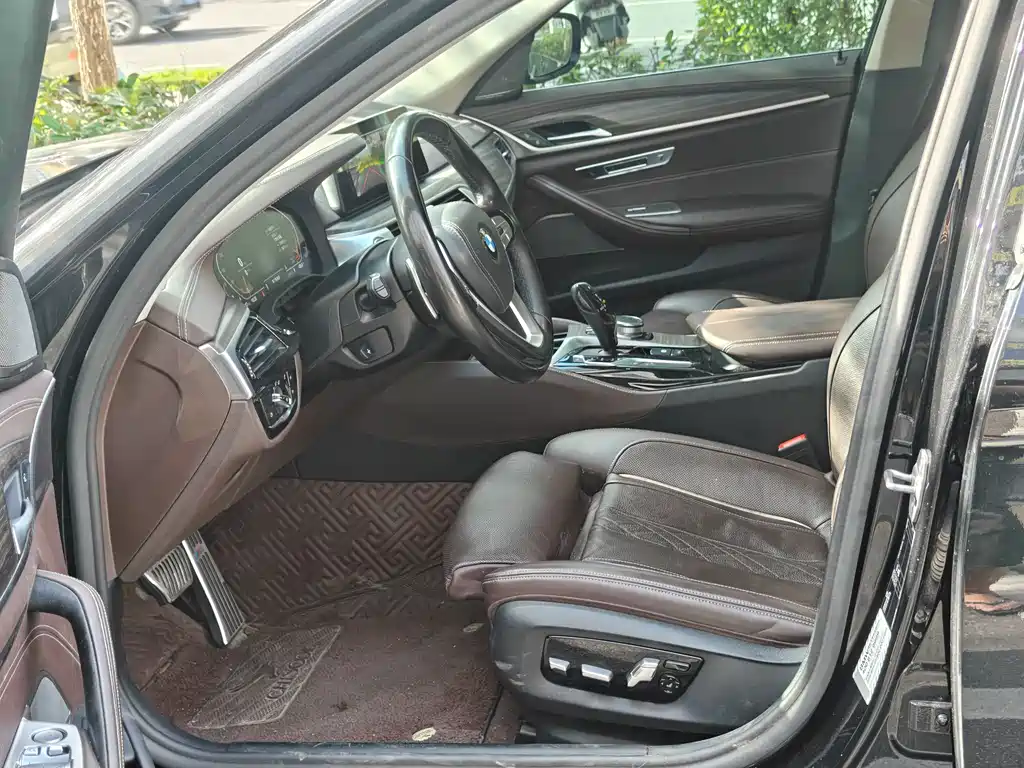 BMW 5 Series 5 2020 530Li Premium Luxury