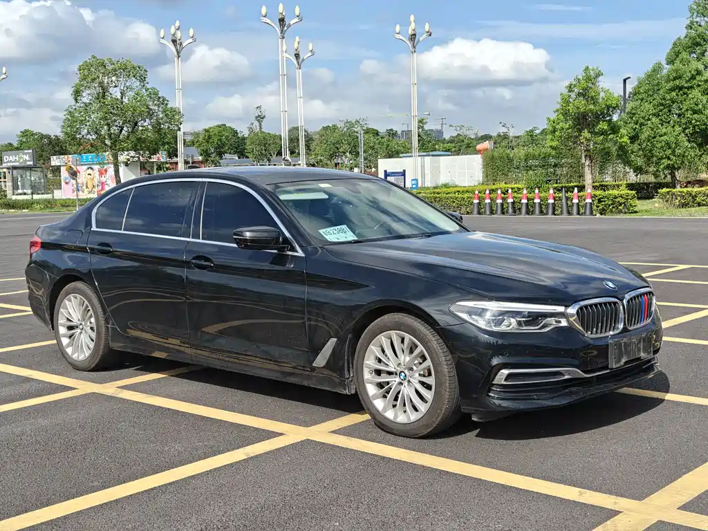 BMW 5 Series 5 2020 530Li Premium Luxury