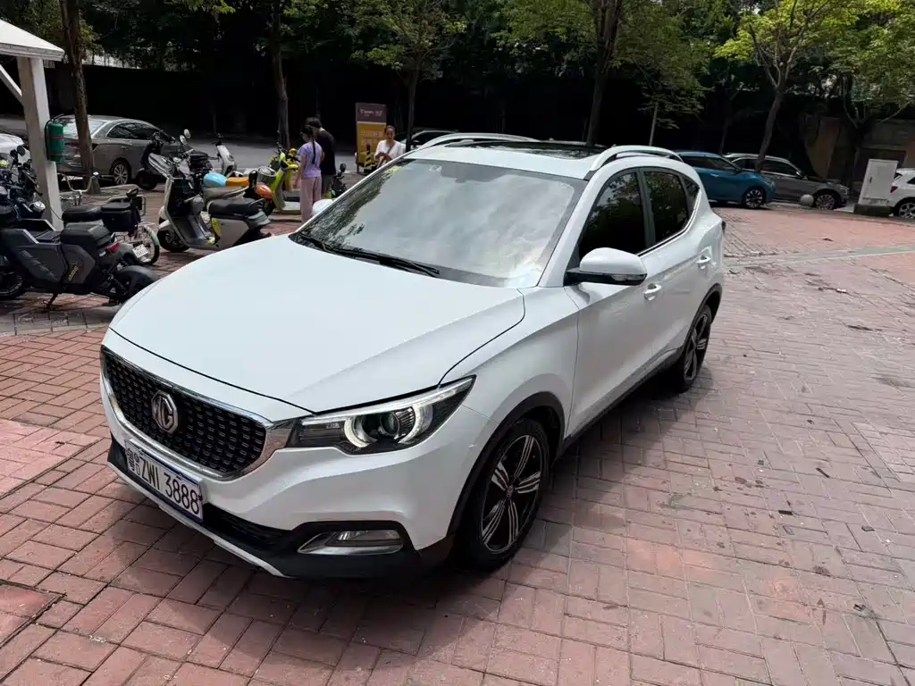 Mg ZS 2018