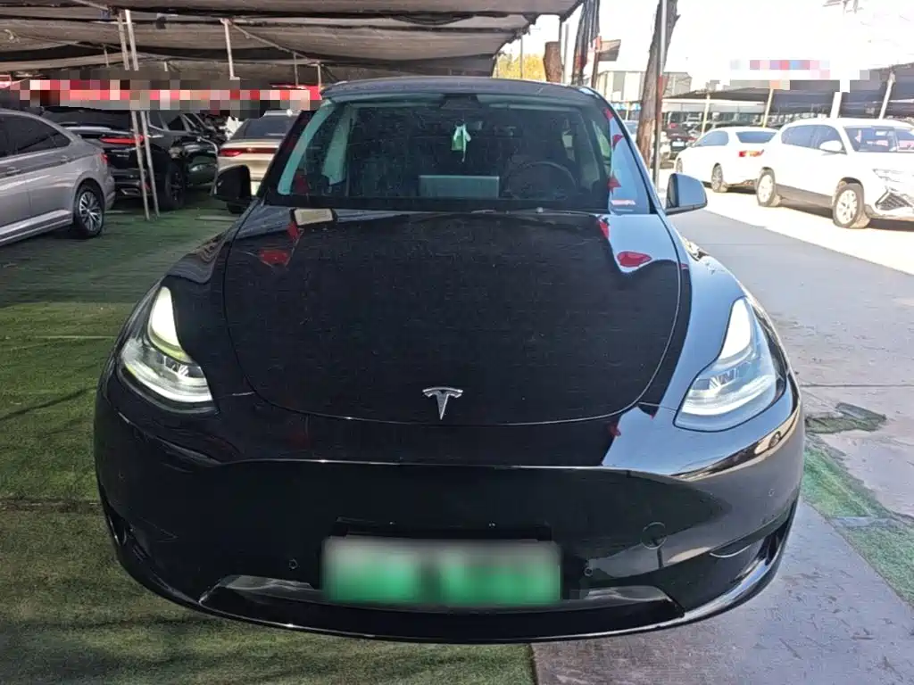 Tesla Model Y — миниатюра 3