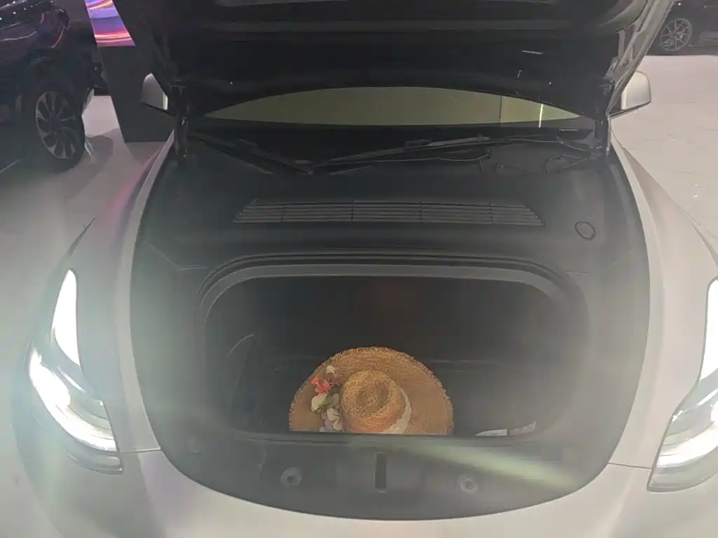 Tesla Model Y — миниатюра 20