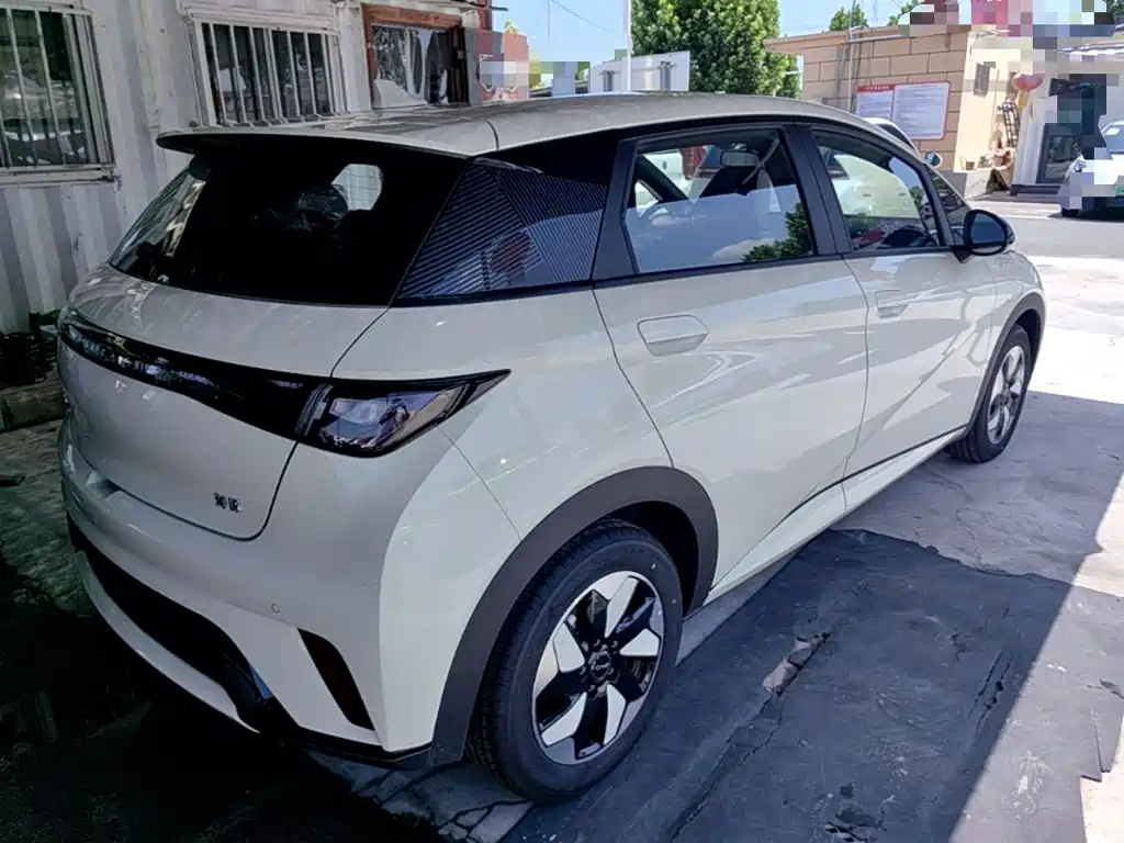 BYD Dolphin 2025 420km Freedom