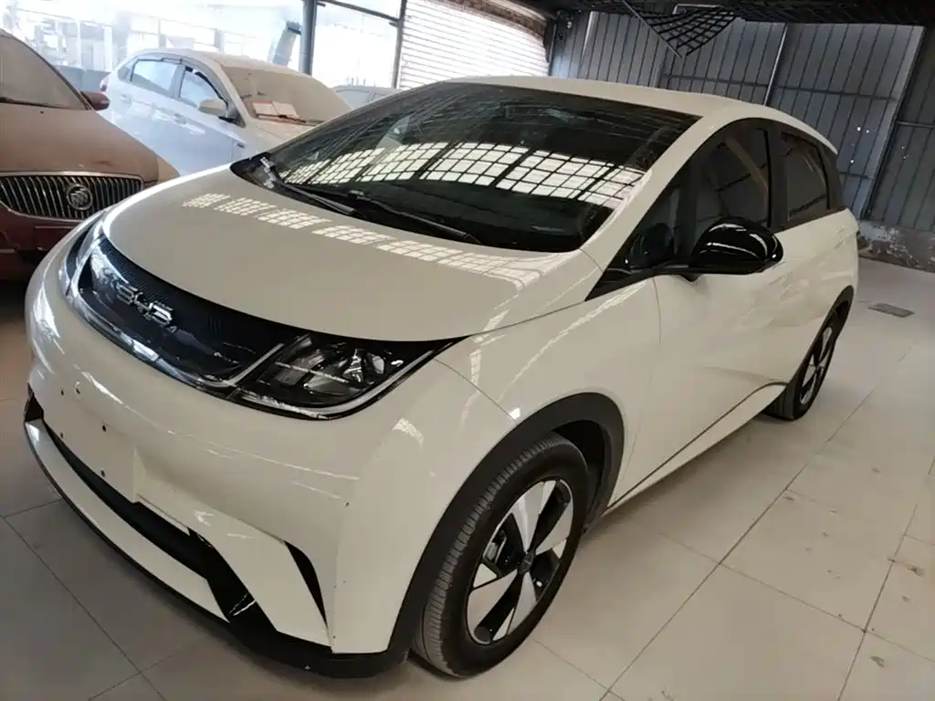 Byd Dolphin 2023