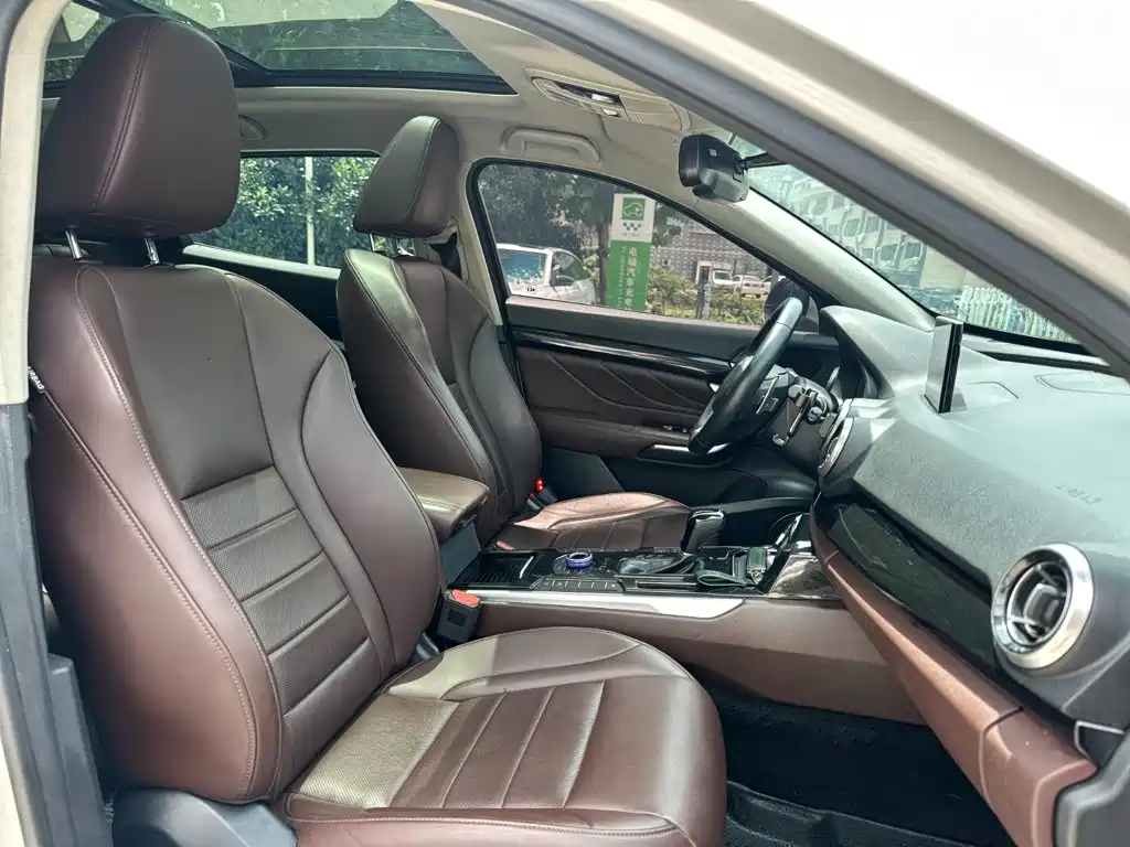 Wey VV7 2.0T Super Luxury Type, фото 24