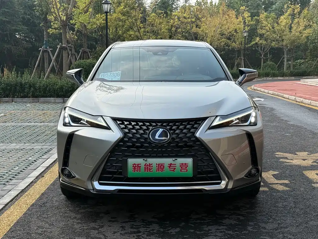 Lexus UX New Energy — миниатюра 2