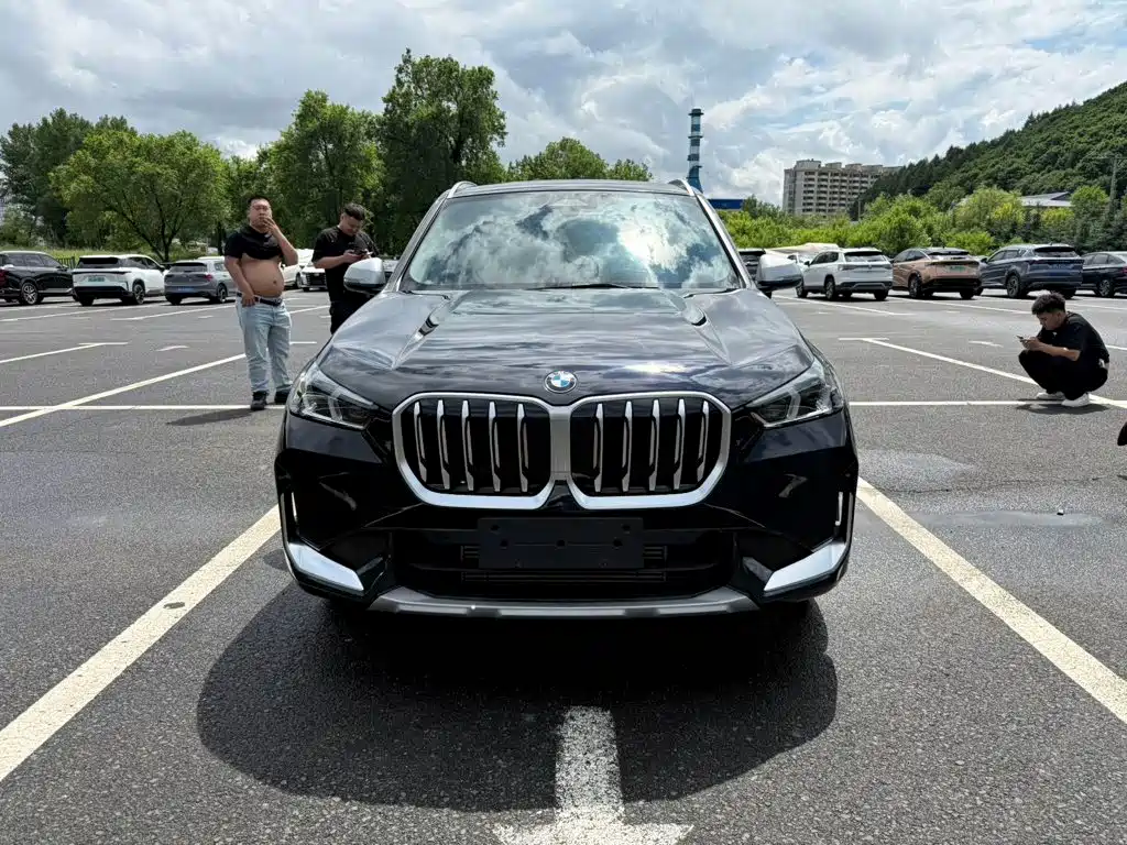 BMW X1 — миниатюра 2