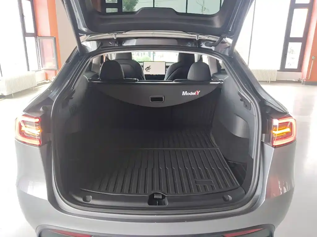 Tesla Model Y — миниатюра 19