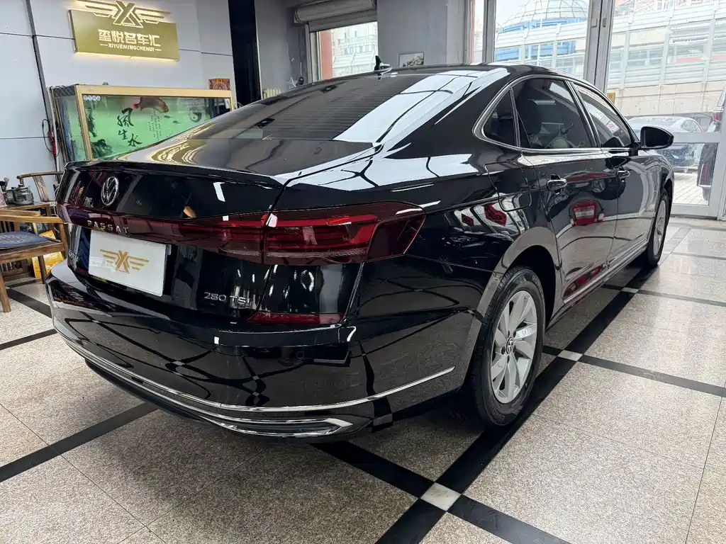 Volkswagen Passat — миниатюра 6