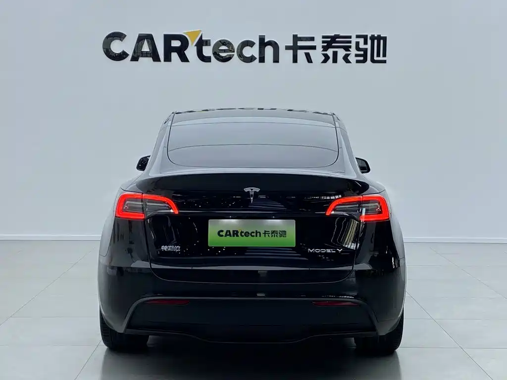 Tesla Model Y — миниатюра 4