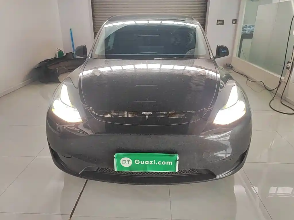 Tesla Model Y — миниатюра 3