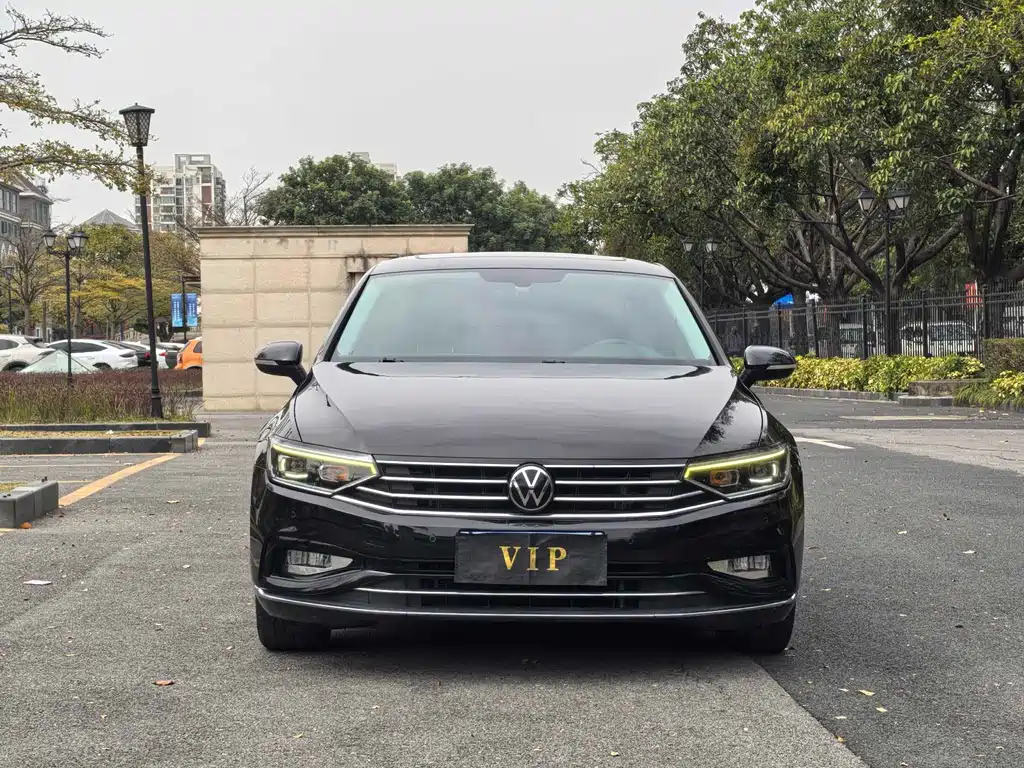 Volkswagen Magotan 2020 330TSI DSG Luxury