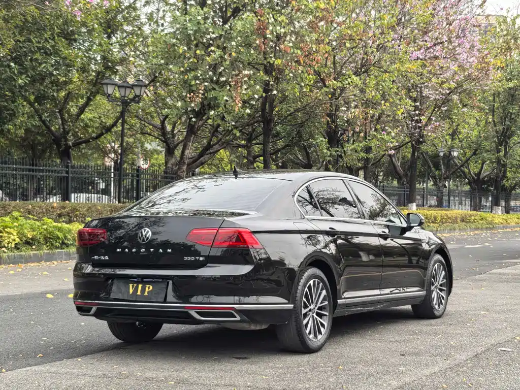 Volkswagen Magotan 2020 330TSI DSG Luxury